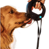 Dog Water Bottle with Flip Open Cup