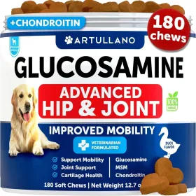 Glucosamine For Dogs Hip And Joint Supplement For Dogs With Arthritis Chews With Chondroitin Hemp Oil MSM Canine Joint Pain Relief Health Mobility Sup