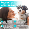 Joint and Muscle Liquid for Cats and Dogs Natural Supplement for Mobility and Comfort