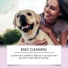 Dog - Yegbong Pet Tooth Spray, Care And Clean Pet Mouth Teeth To Stains And Yellow Care Spray