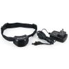 collPetSafe Stay + Play Wireless Dog Fence Collar