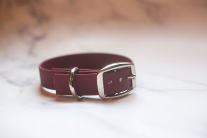 Biothane Buckle Dog Collar (Color: lavender, size: Small/Medium 12-14 inches)