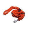 Halloween Leash