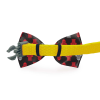 Cutie Ties Dog Bow Tie