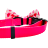 Cutie Ties Dog Bow Tie