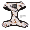 Adjustable Harness