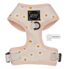 Adjustable Harness