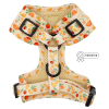 Adjustable Harness