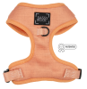 Adjustable Harness
