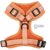 Adjustable Harness