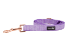 Leash