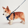 Mr. Peanut's PetTrek Reflective Pet Harness With Matching Leash