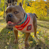 Sport Bandana