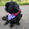 Sport Bandana