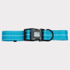 GF Pet  Reflective Collar