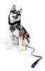 Leash American River Ombre