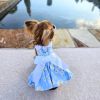 Dog Blue Daisy Dress with Matching Leash