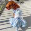 Dog Blue Daisy Dress with Matching Leash