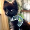 Dog Harness Cool Mesh with Leash