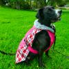 Dog Alpine All-Weather  Coat