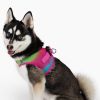 Dog Choke Free Harness American River Ombre Collection
