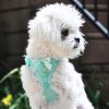 Dog Choke Free Harness American River Polka Dot Collection
