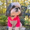 Dog Multi Color-Block Hoodie