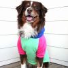 Dog Multi Color-Block Hoodie