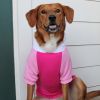 Dog Multi Color-Block Hoodie