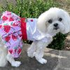Dog Strawberry Picnic Dress with Matching Leash