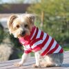 Dog Striped Polo