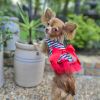 Dog Dress Cherry Stripe Harness with Matching Leash