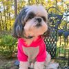 Dog Multi Color-Block Hoodie