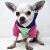Dog Multi Color-Block Hoodie