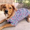 Dog Hawaiian Camp Shirt