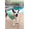 Dog Hawaiian Camp Shirt