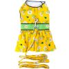 Dog Ladybugs and Daisies Dress with Matching Leash