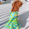 Dog Harness Pineapple Luau  Dress with Matching Leash