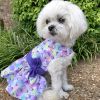 Dog Purple Butterfly Dress with Matching Leash