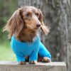 Dog Pajamas Sweet Dreams Thermal