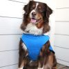 Dog Alpine Tuff Terrain Coat