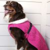 Dog Alpine Tuff Terrain Coat