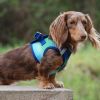 Dog Choke Free Harness American River Ombre Collection