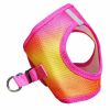 Dog Choke Free Harness American River Ombre Collection