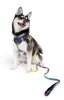 Leash American River Ombre
