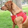 Dog Harness American River Solid Ultra Choke Free
