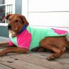 Dog Multi Color-Block Hoodie