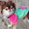 Dog Multi Color-Block Hoodie