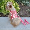 Dog Harness Cool Mesh with Leash