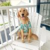 Dog Hawaiian Camp Shirt